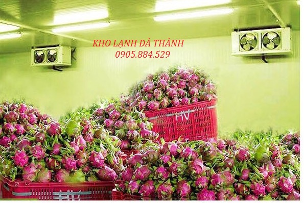 lắp đặt kho lạnh bảo quản hoa quả